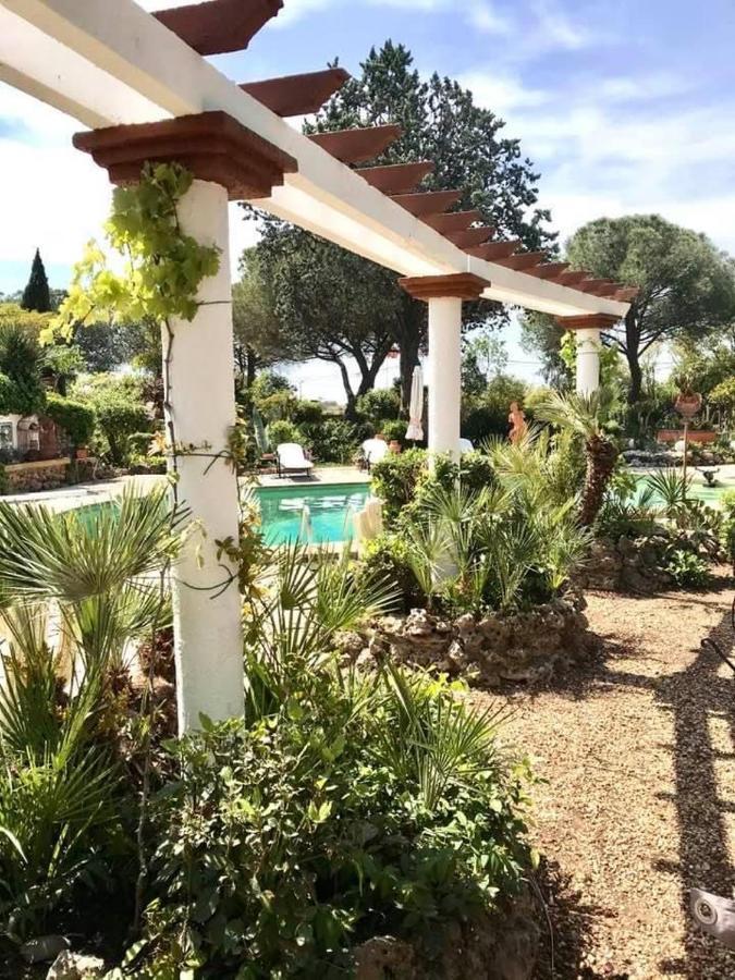 La Cactee Singuliere Bed and Breakfast Béziers Exteriör bild